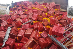 intervenci&oacute;n en aver&iacute;as de mercanc&iacute;as